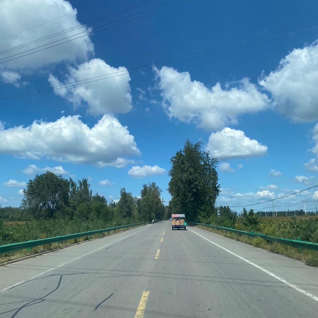 小马