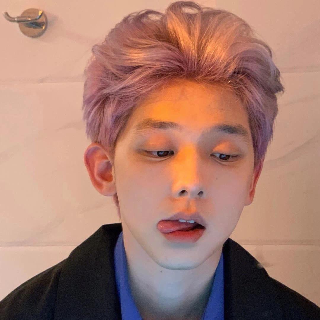 Echao