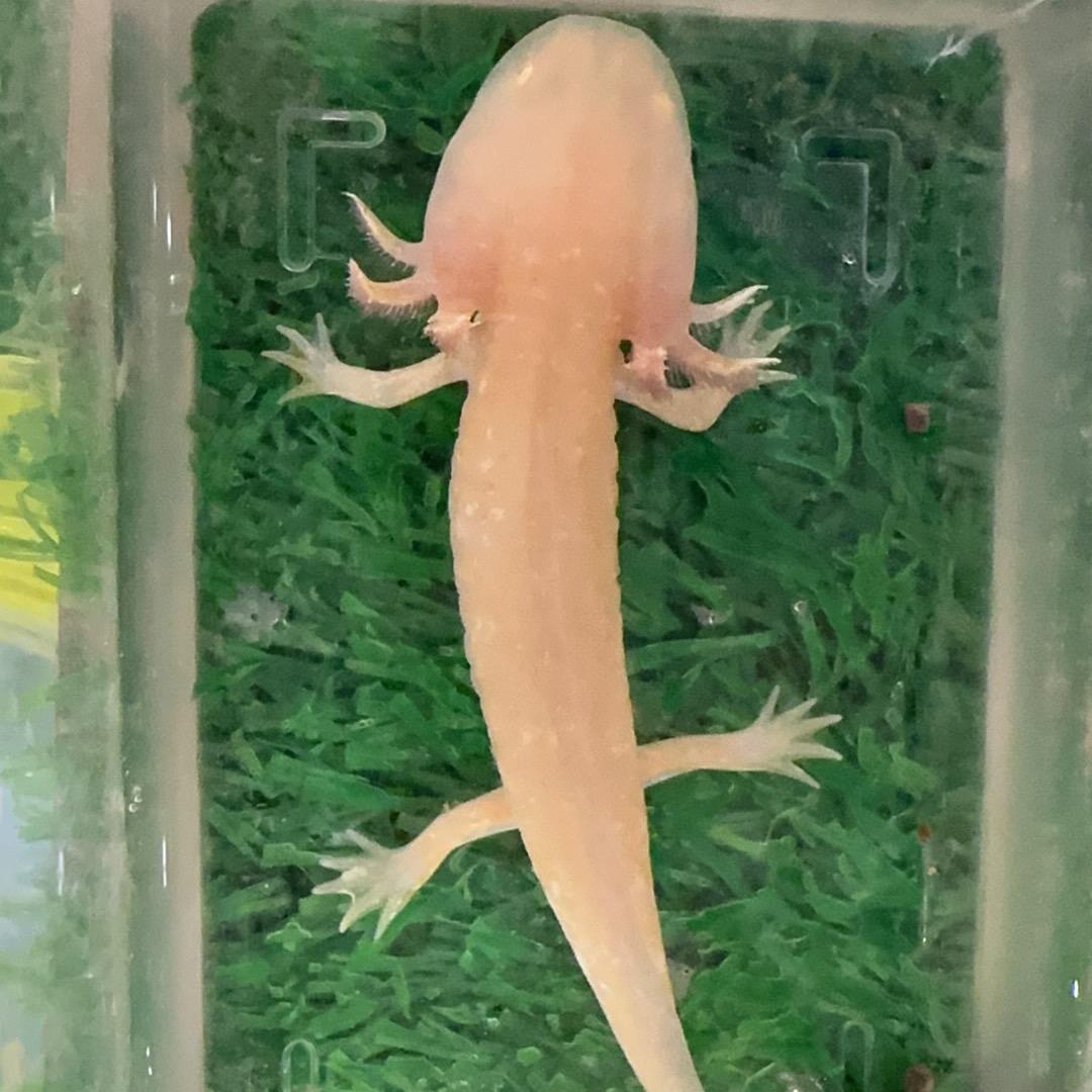 郑在登陆