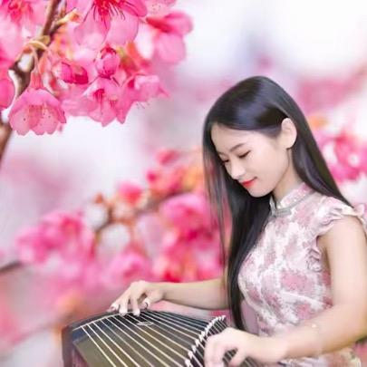 雷雷古筝@抖音