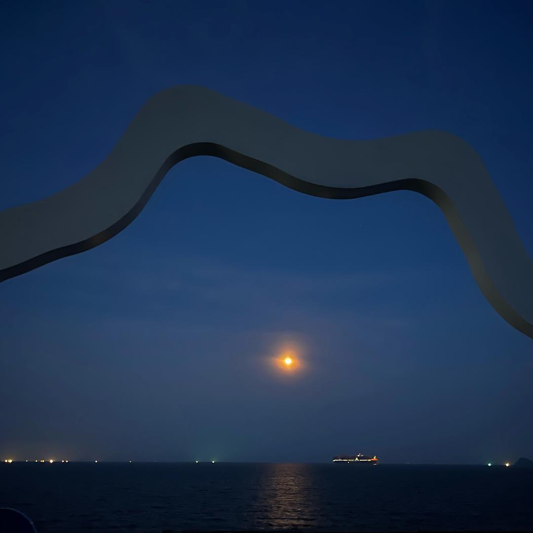 等风来