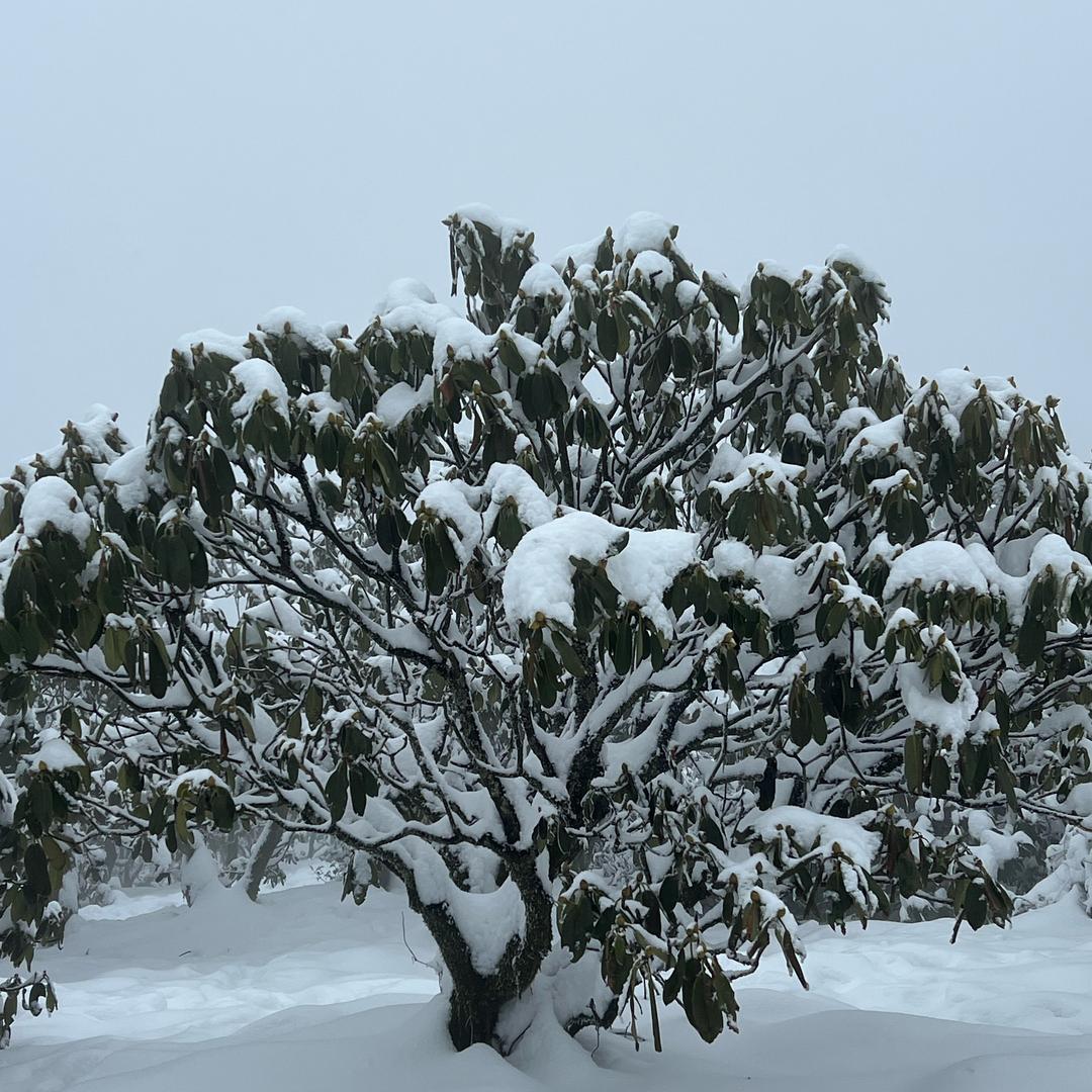 台州钢结构加工定制