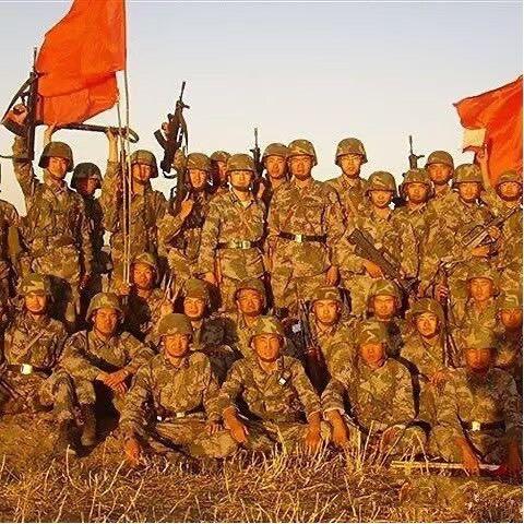 堪称“六边形战士”