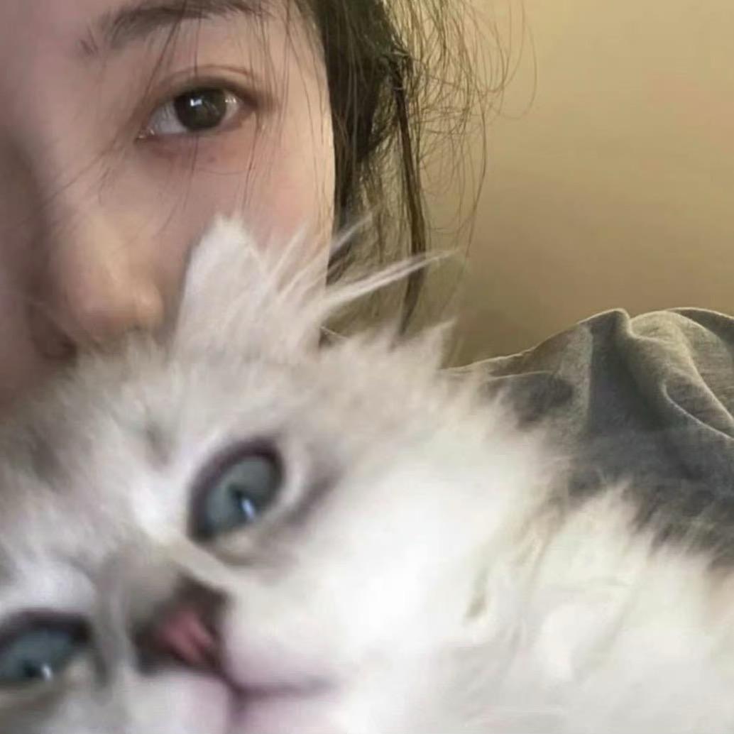 六一宝宝猫