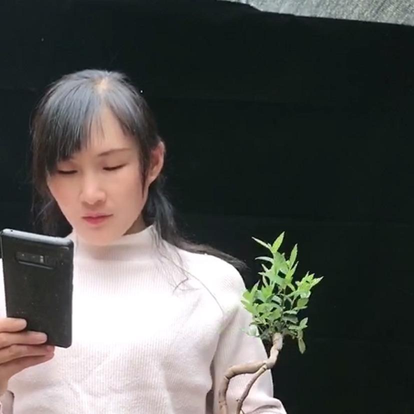 承献家的花园黄荆盆景