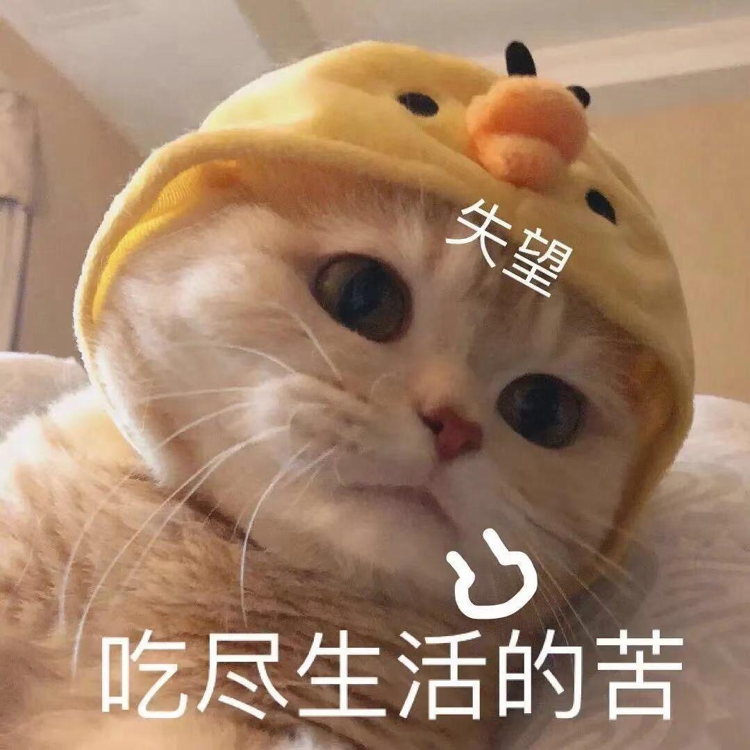 兩晴