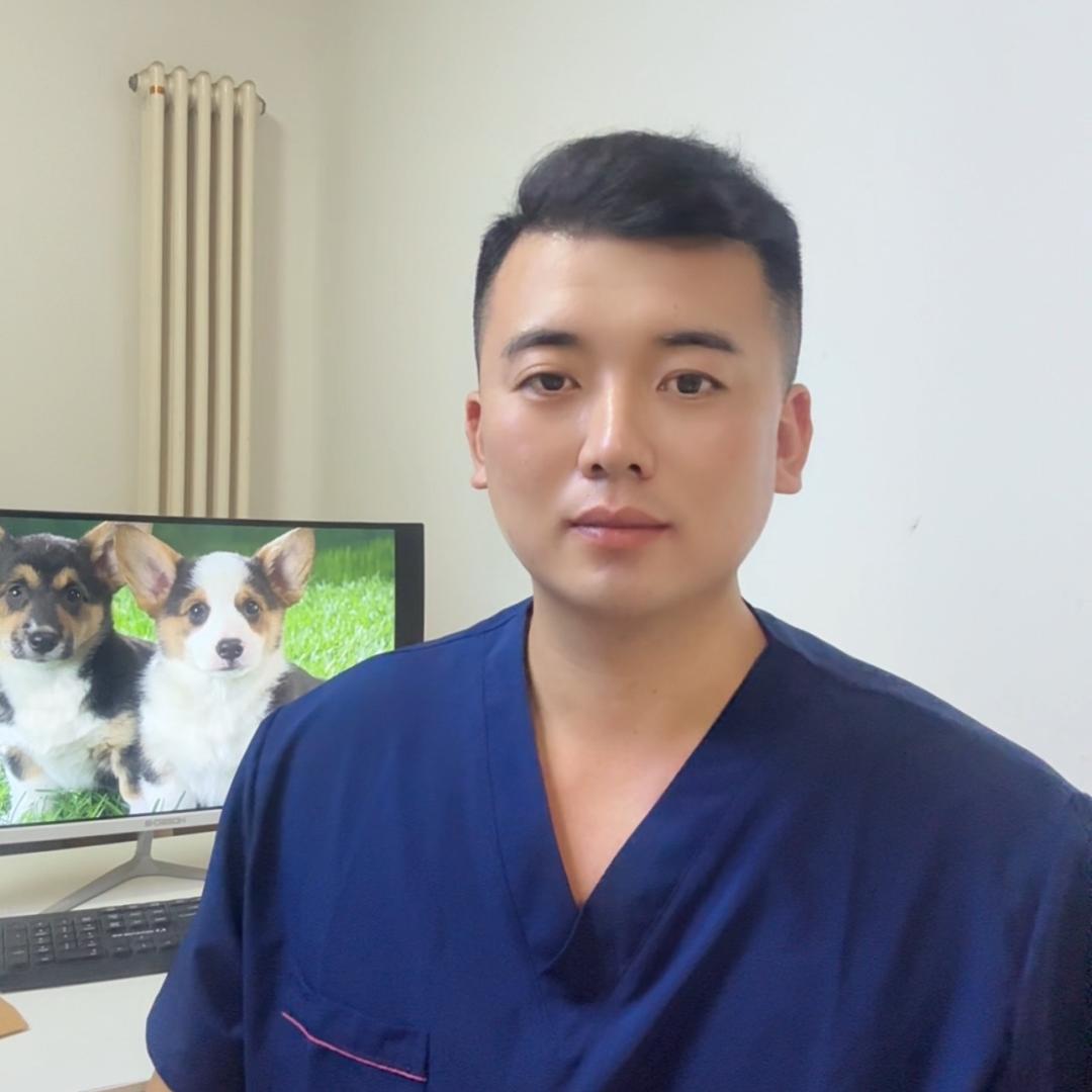 雷子养狗