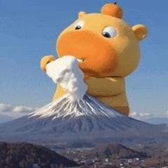 阳光彩虹小白马🌈🌈🌈