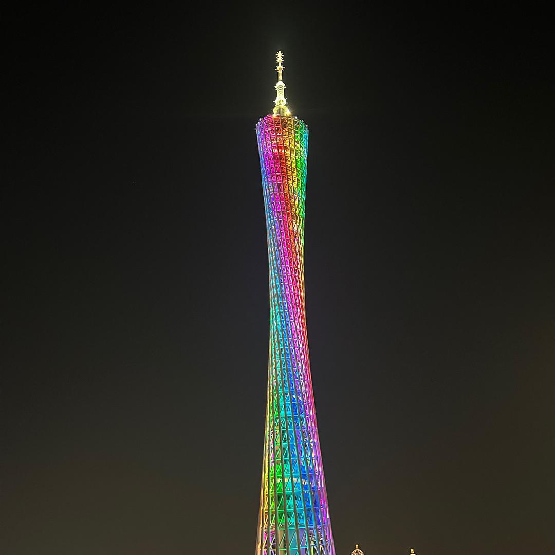 向阳而开