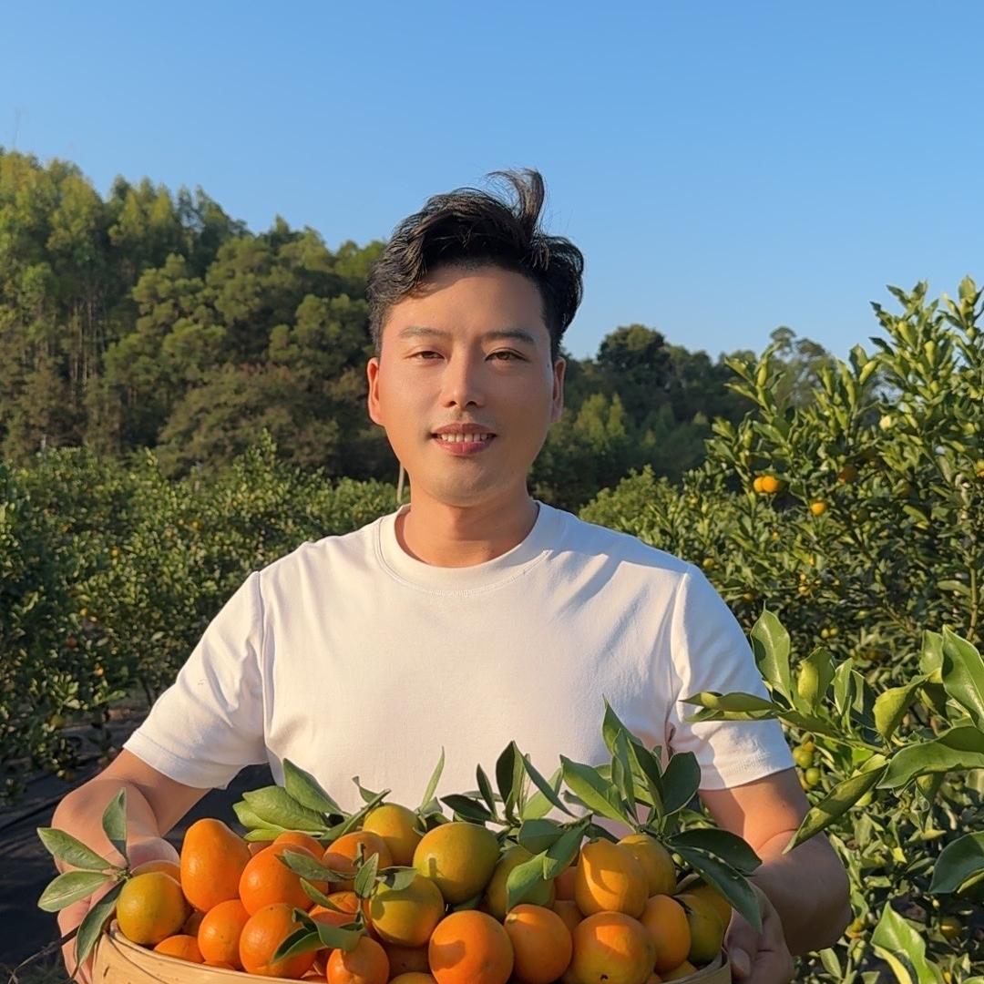 融安金桔哥