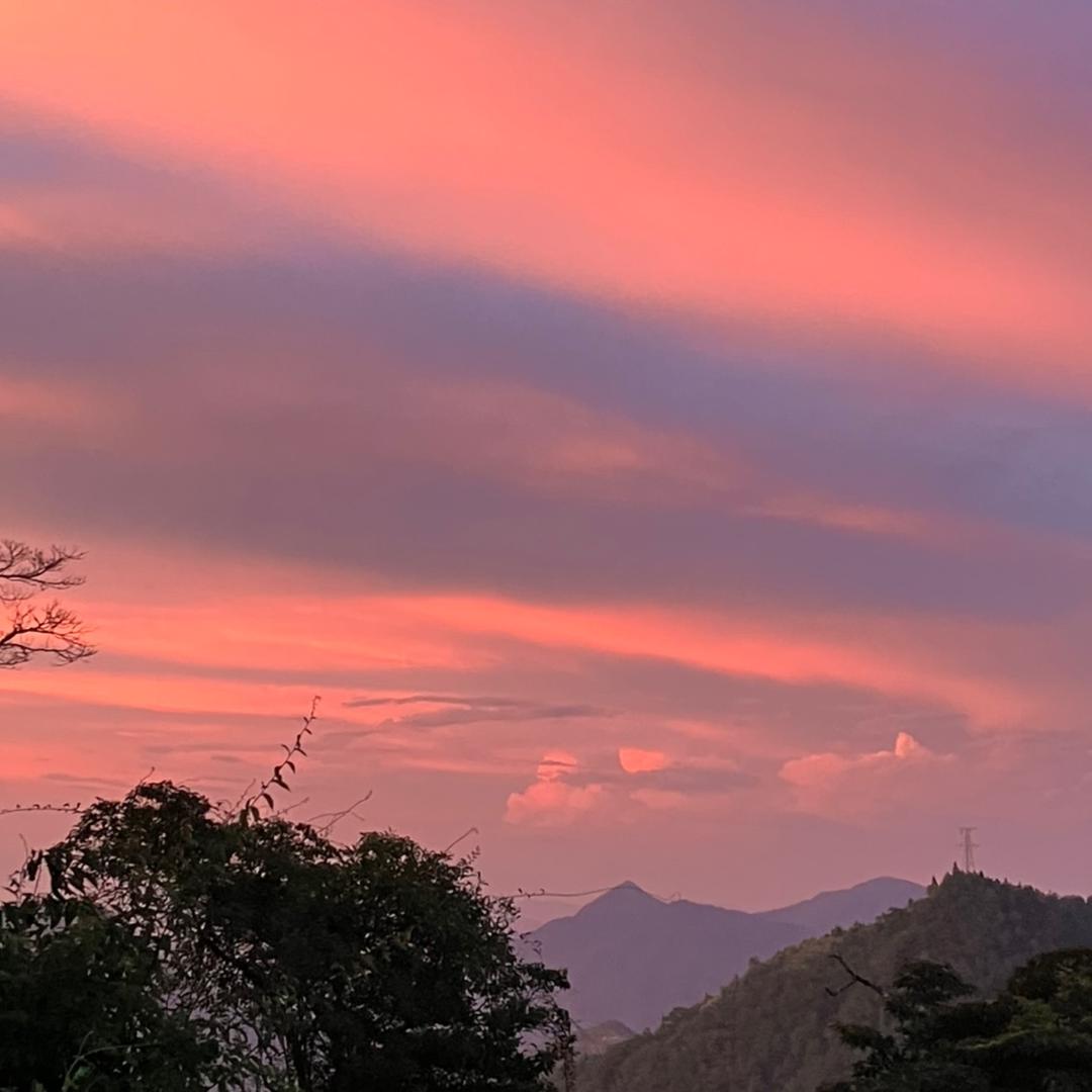 丽姐💕