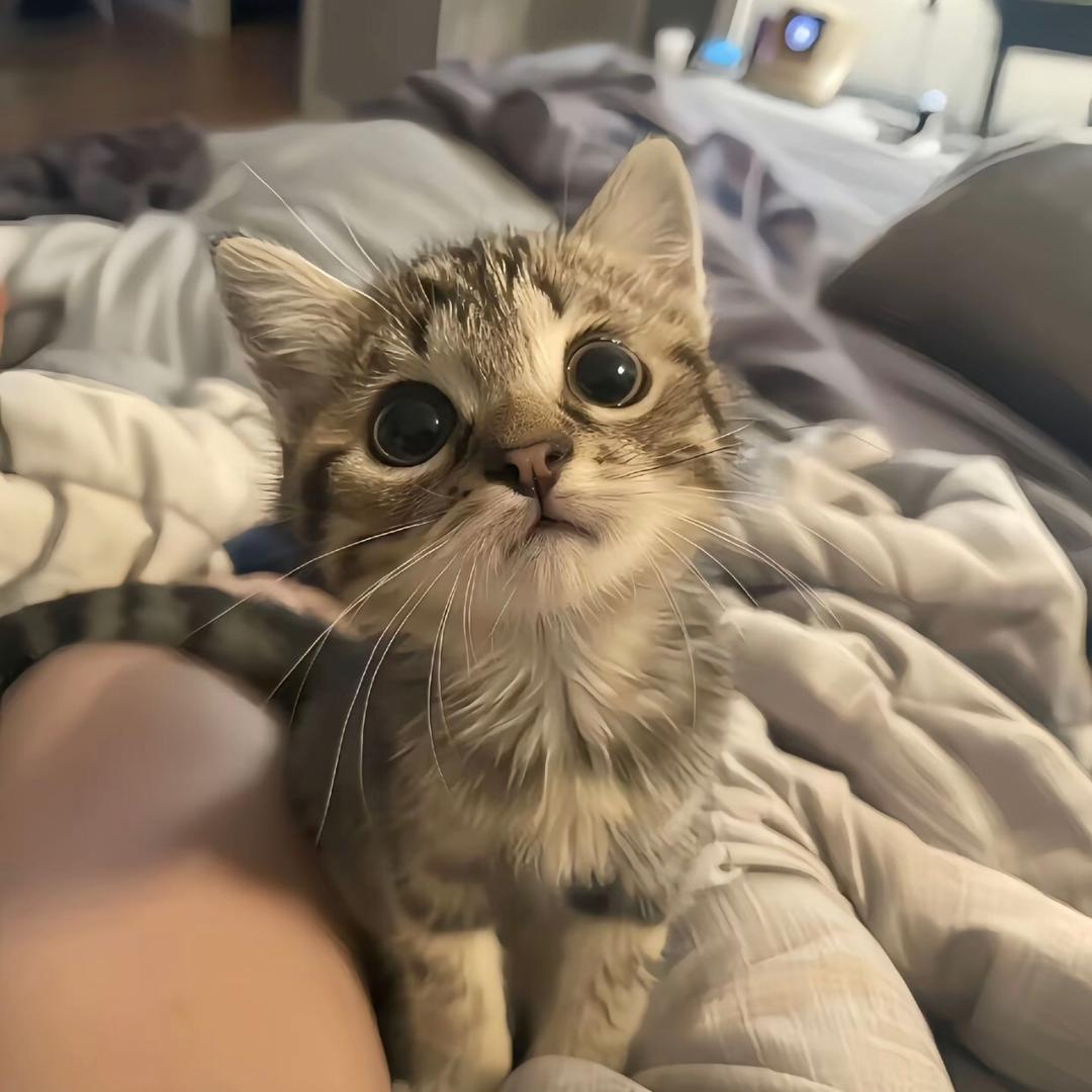 ^V^