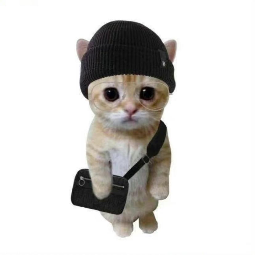 冷冷——🥶