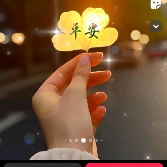 shangxiaoya
