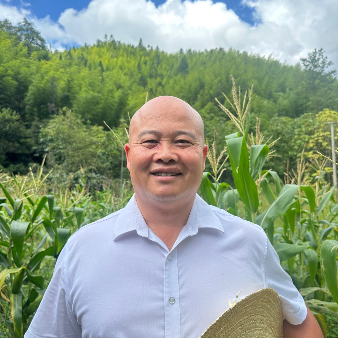 顶哥走乡村