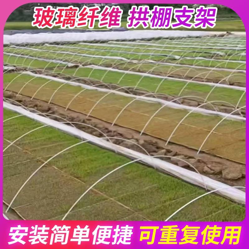 湖北奇搜伟成农业科技有限公司