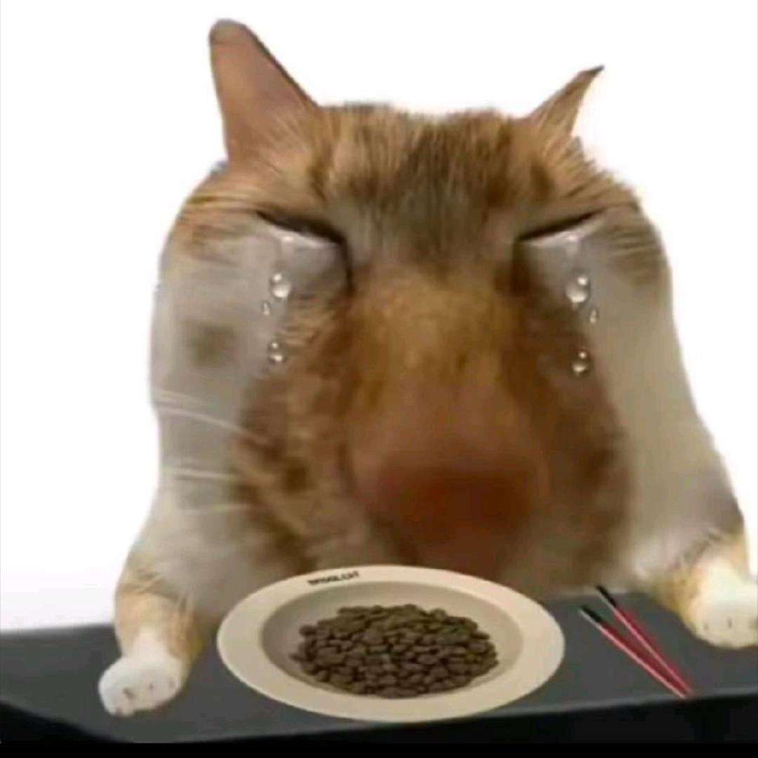 歪比巴卜