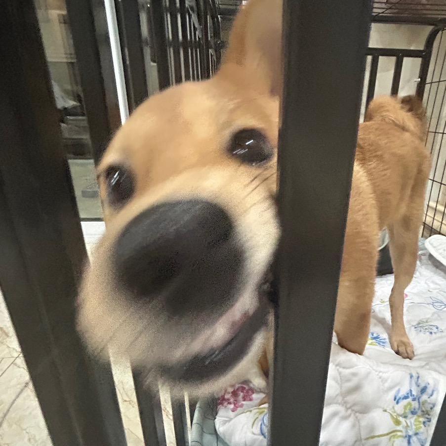 不想回学校坐牢