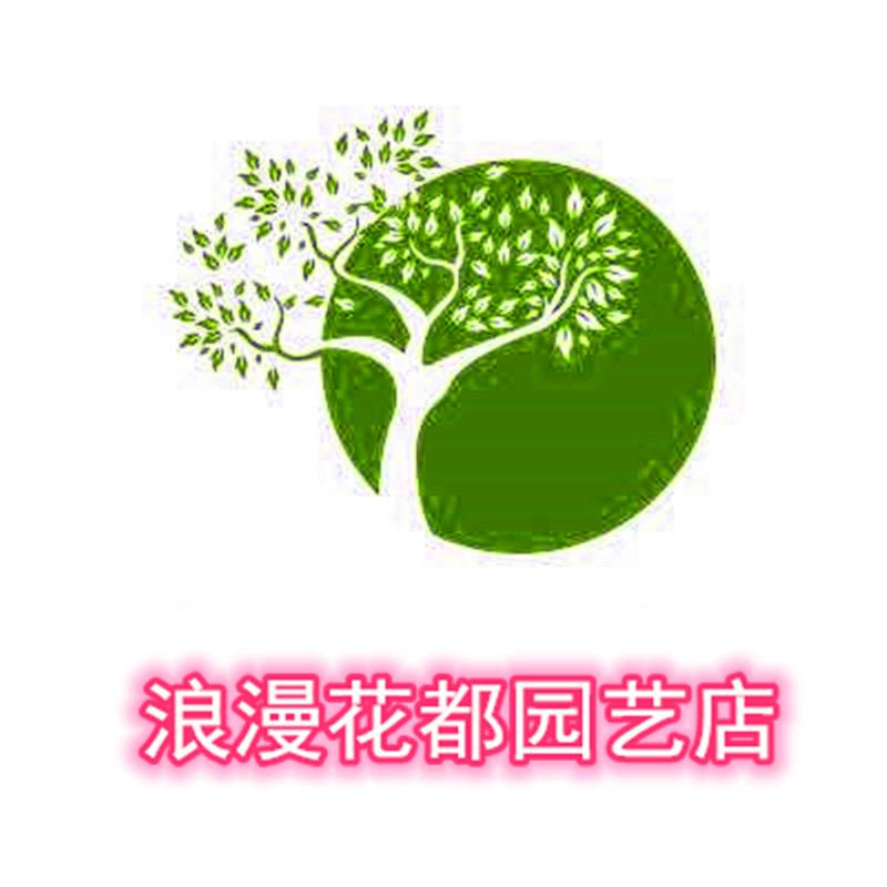 浪漫花都园艺店