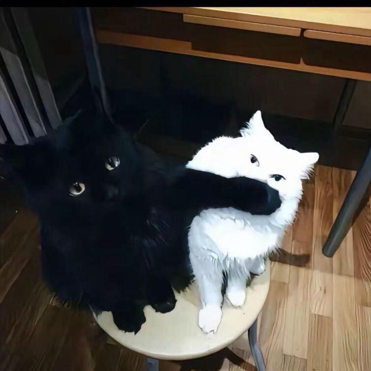张