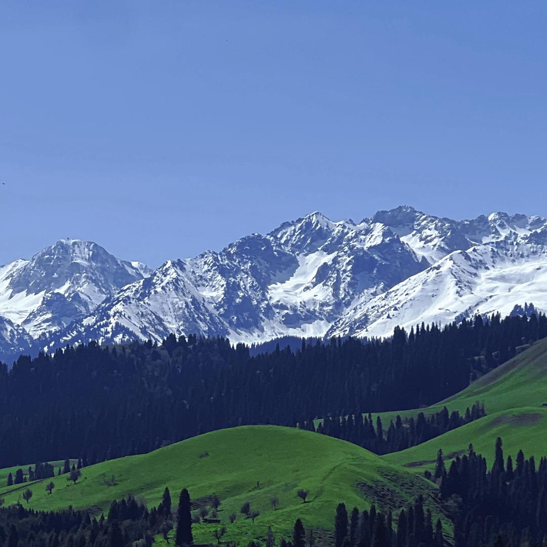 梁胖子瞎装修(YU7到了!)