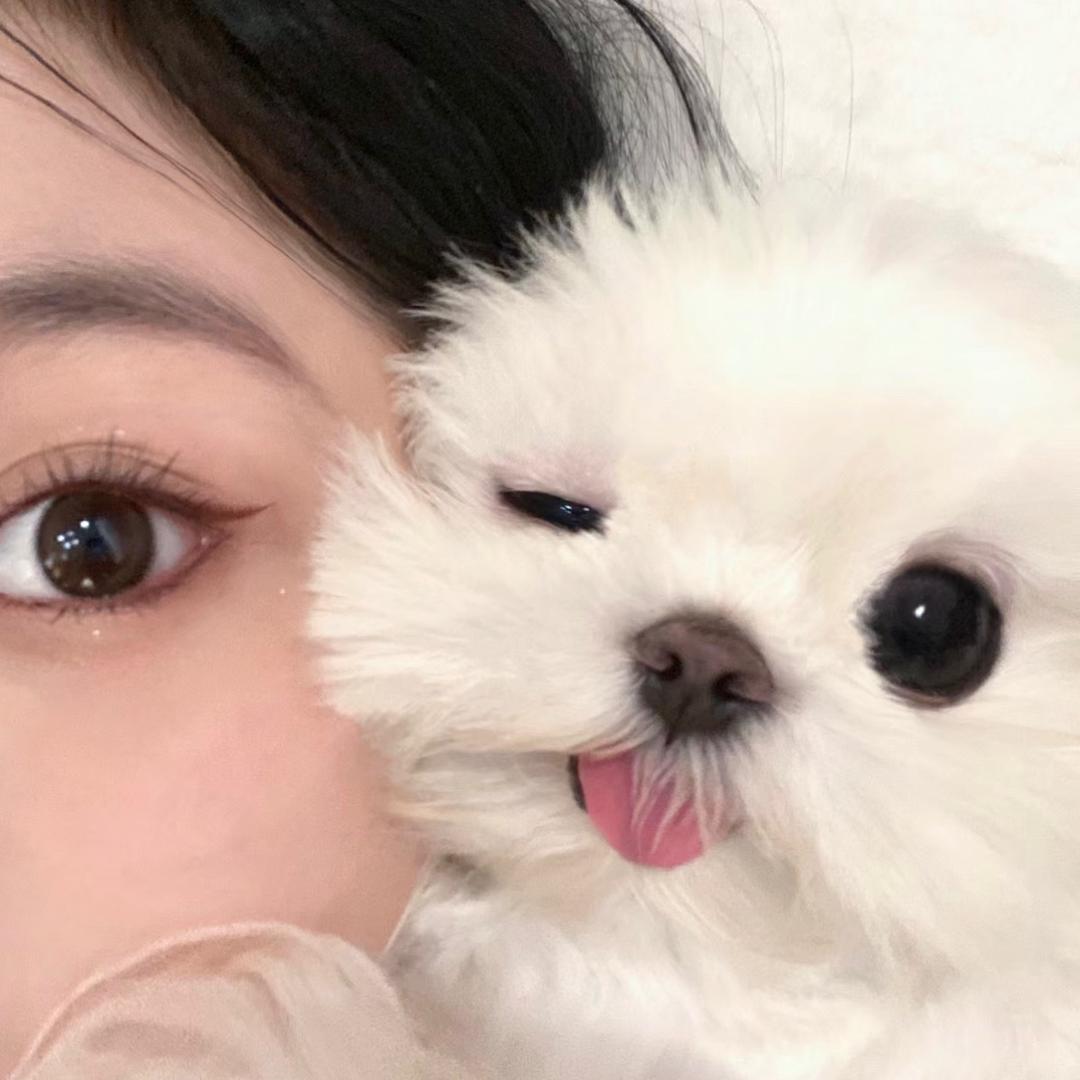 你的迷人