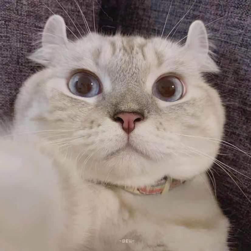 冬天