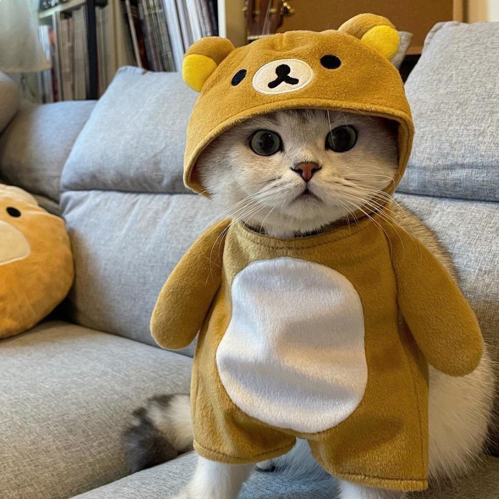 琉璃盏
