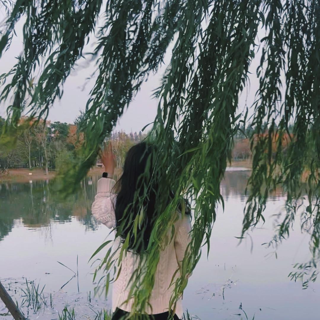 郑郑好🌞