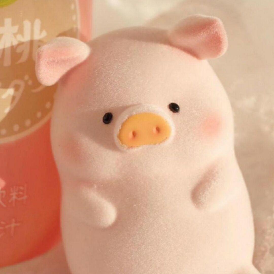 小朱.
