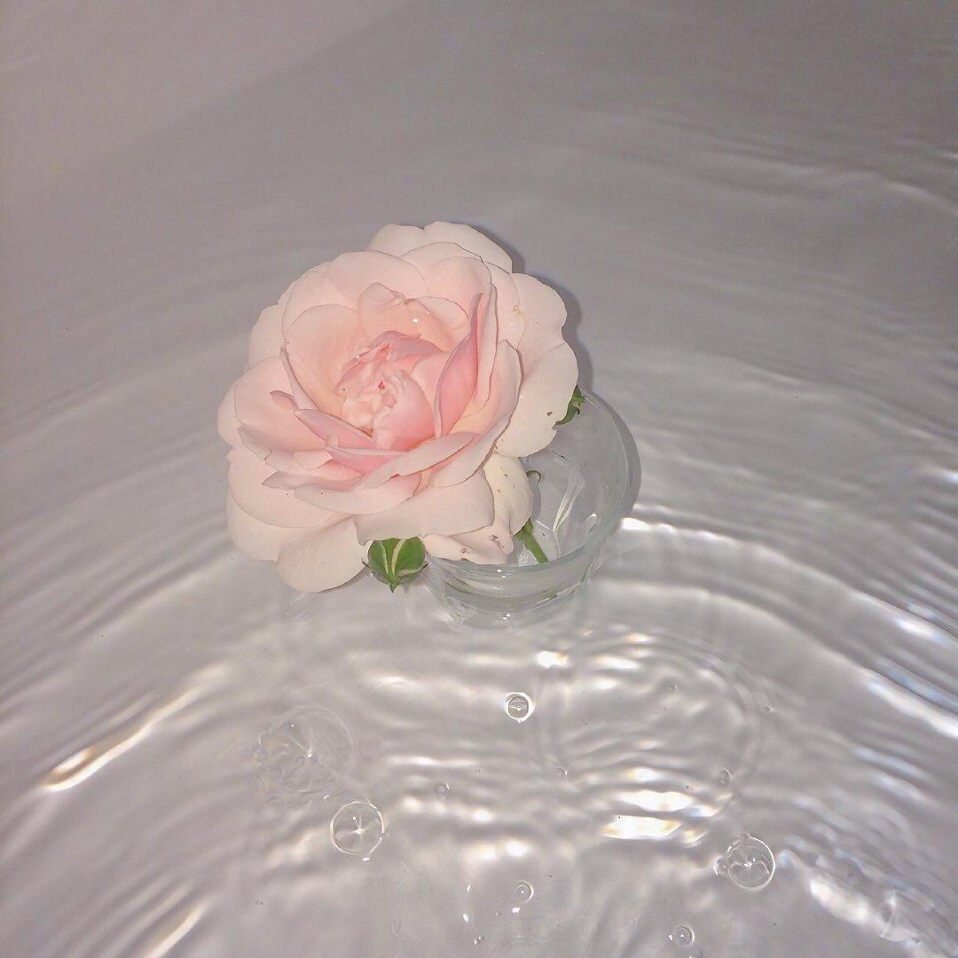悦