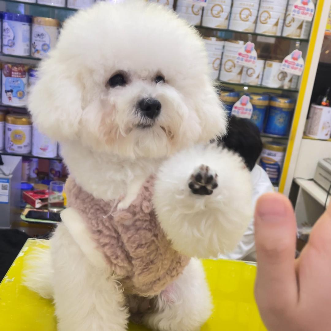 皇婴汇母婴生活馆（镇口店）