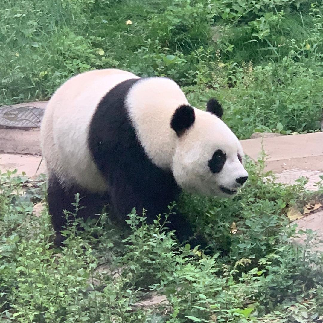 ～呈妈～爱分享