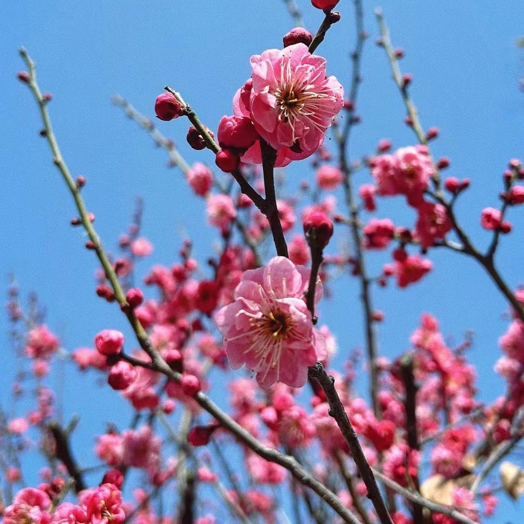 萌宠小淘淘
