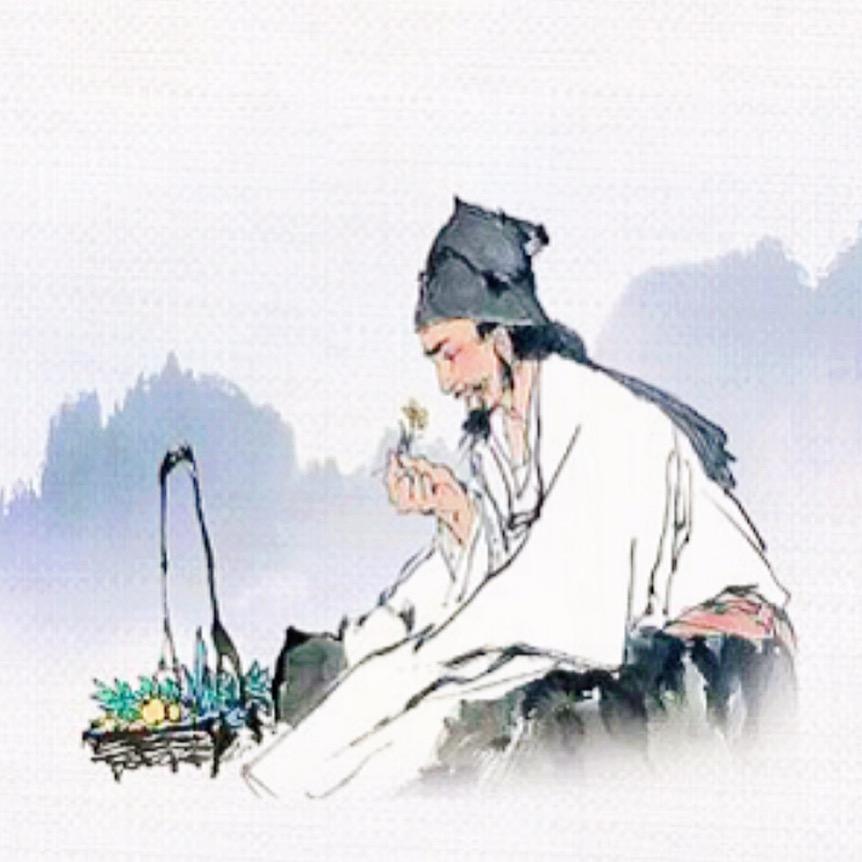 静然爱生活