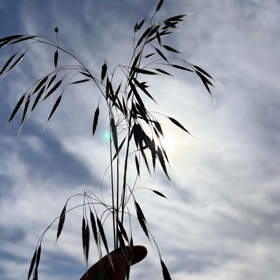 德州销售福特小雨