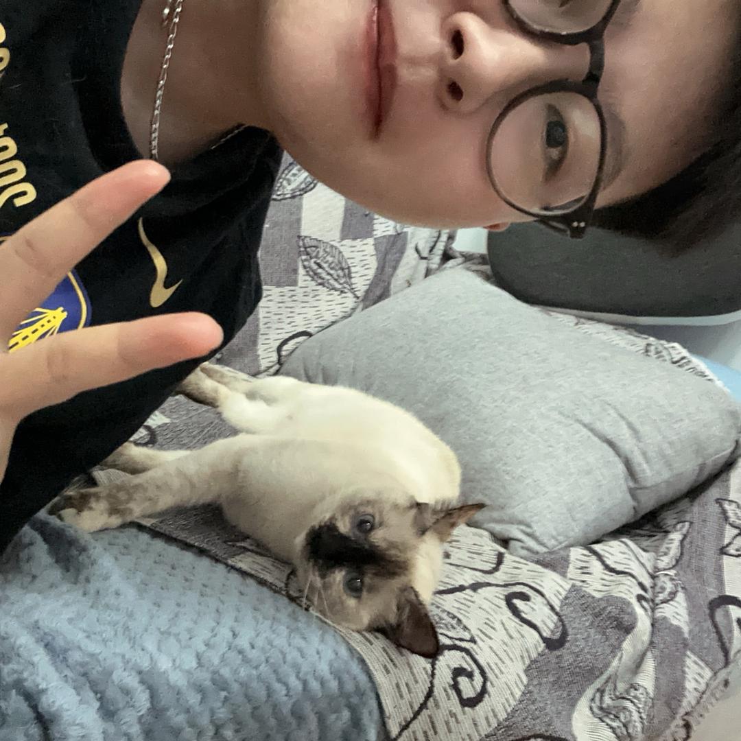 开盲盒的周白白