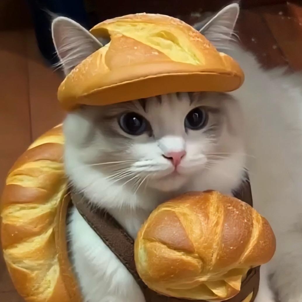 爱吃猫的鱼🐟