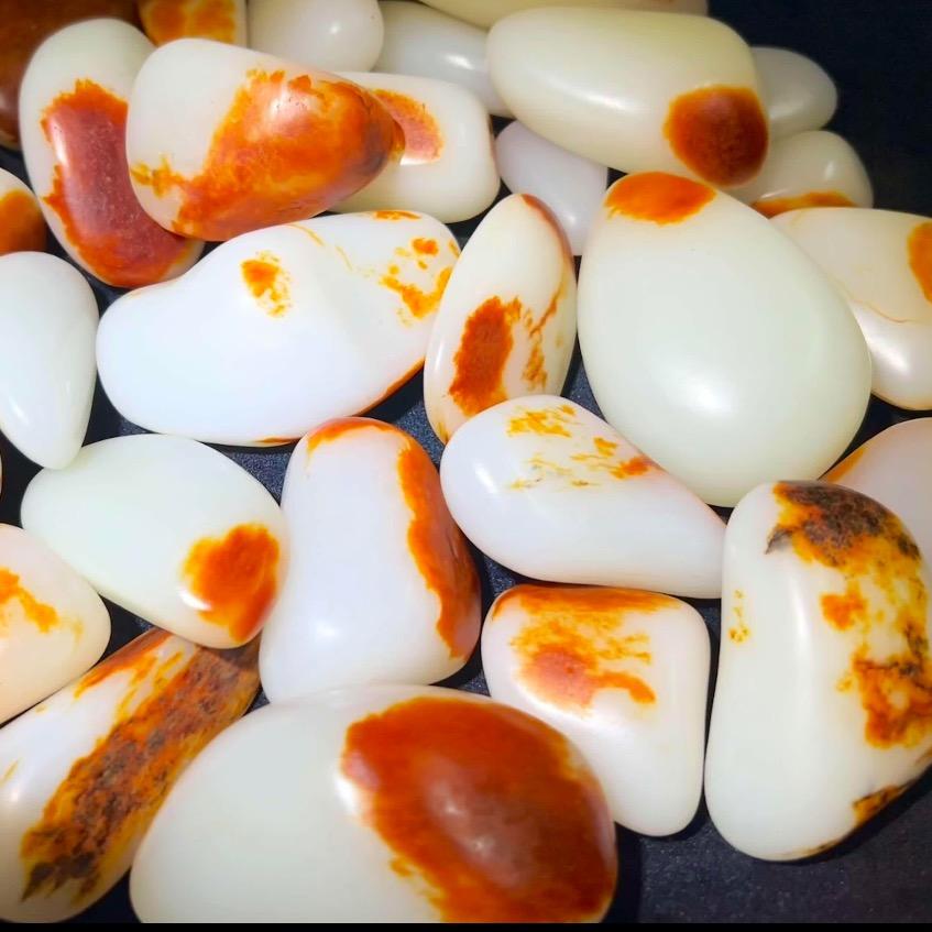 阿达西挖地球11