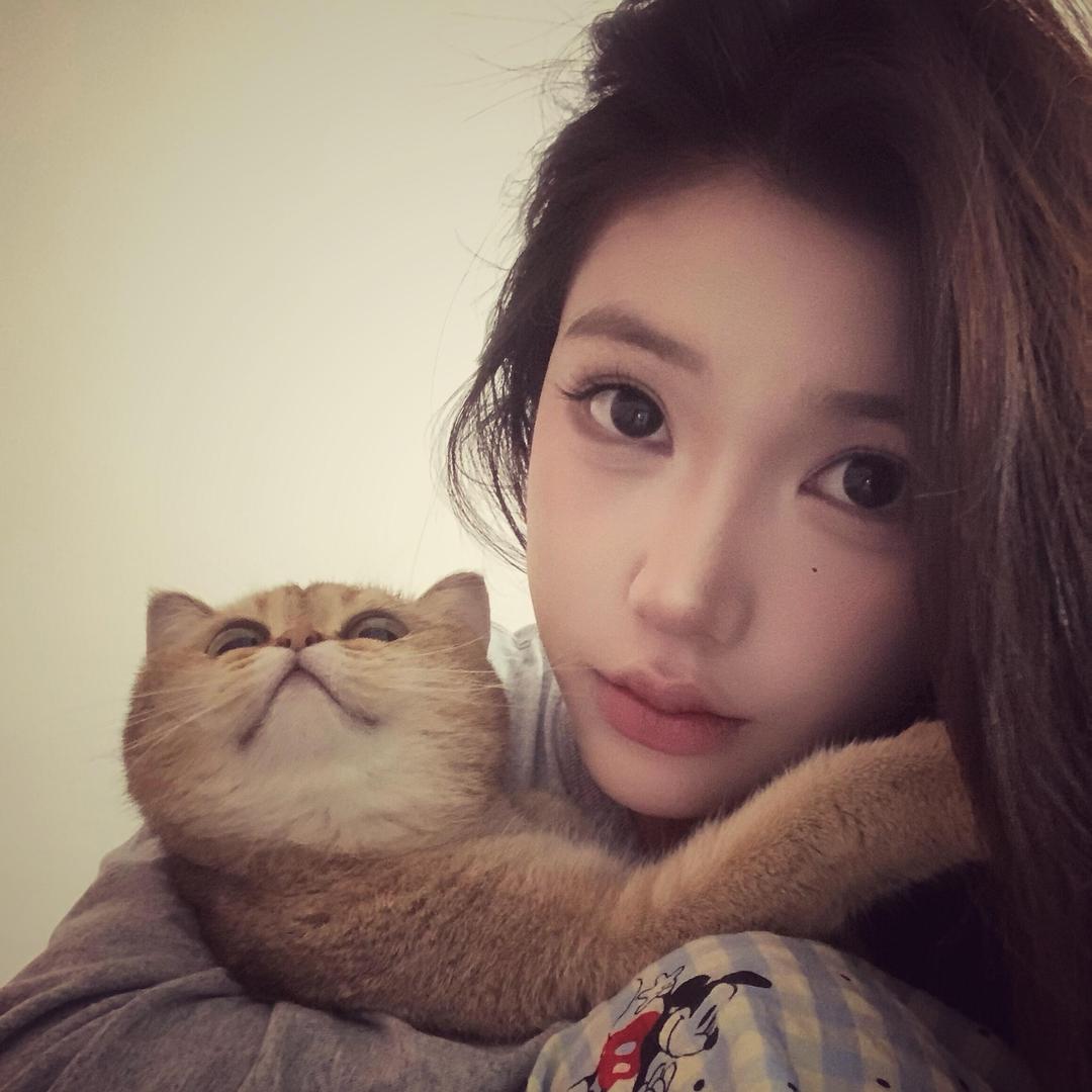 混的喵
