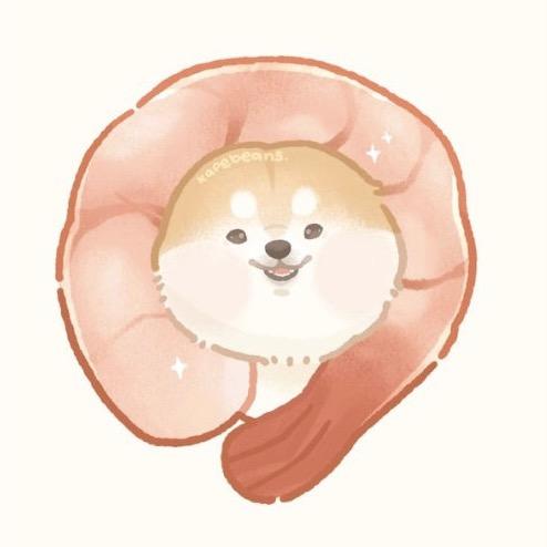 拍拍糖头像
