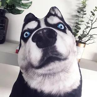 乘风破浪的修狗砸