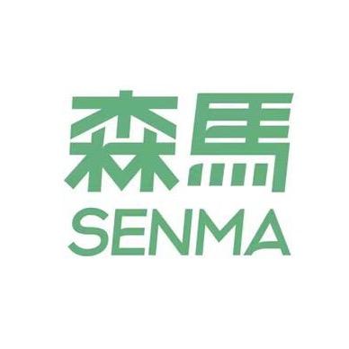 SENMA森马若品男鞋专卖店