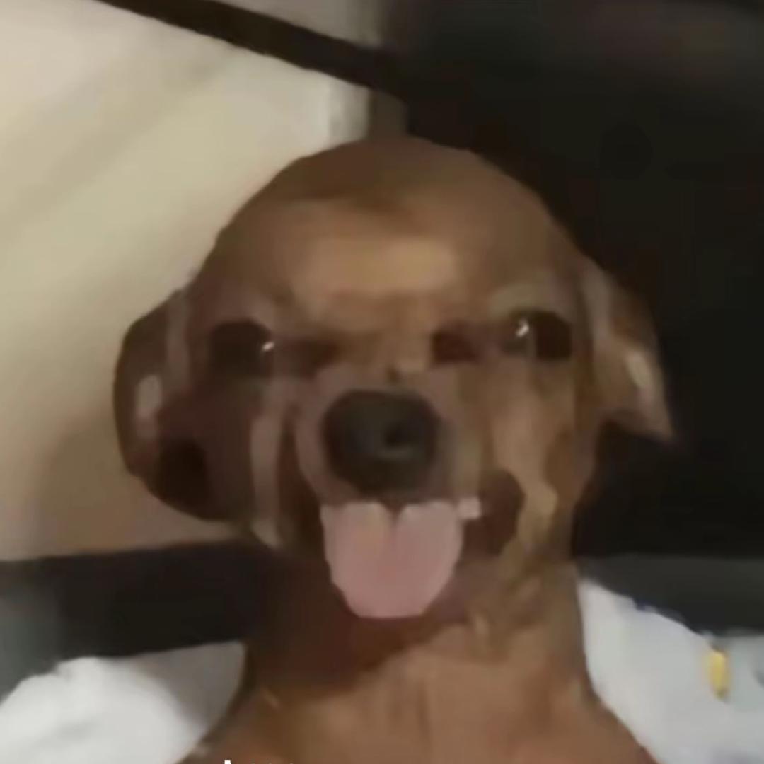 脆皮海鱼