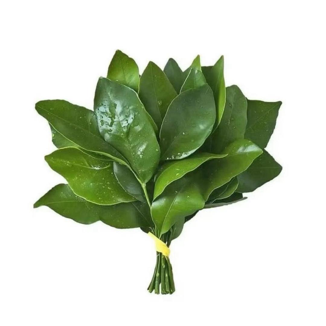 淼淼