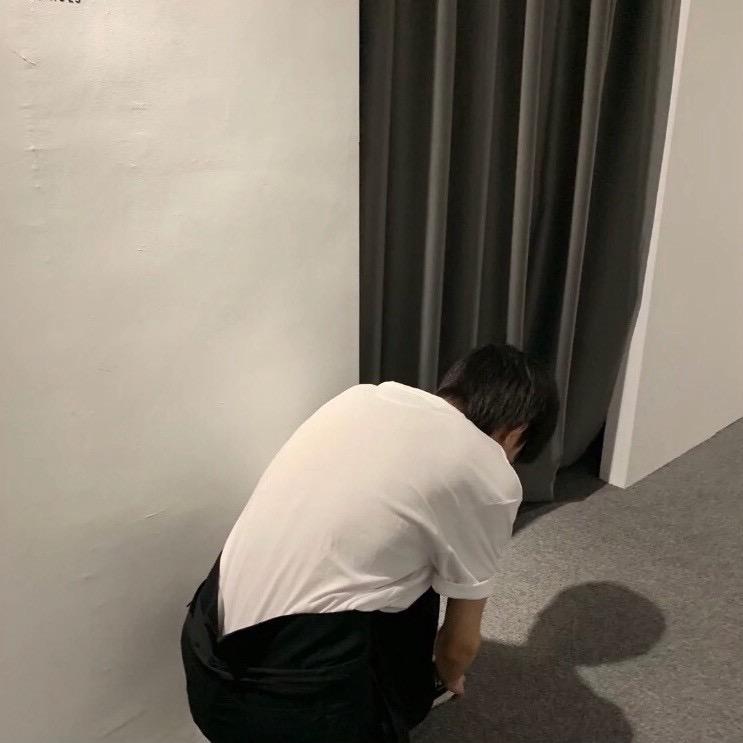 白鴿