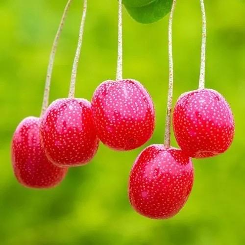 遇见你鲜花店  爱