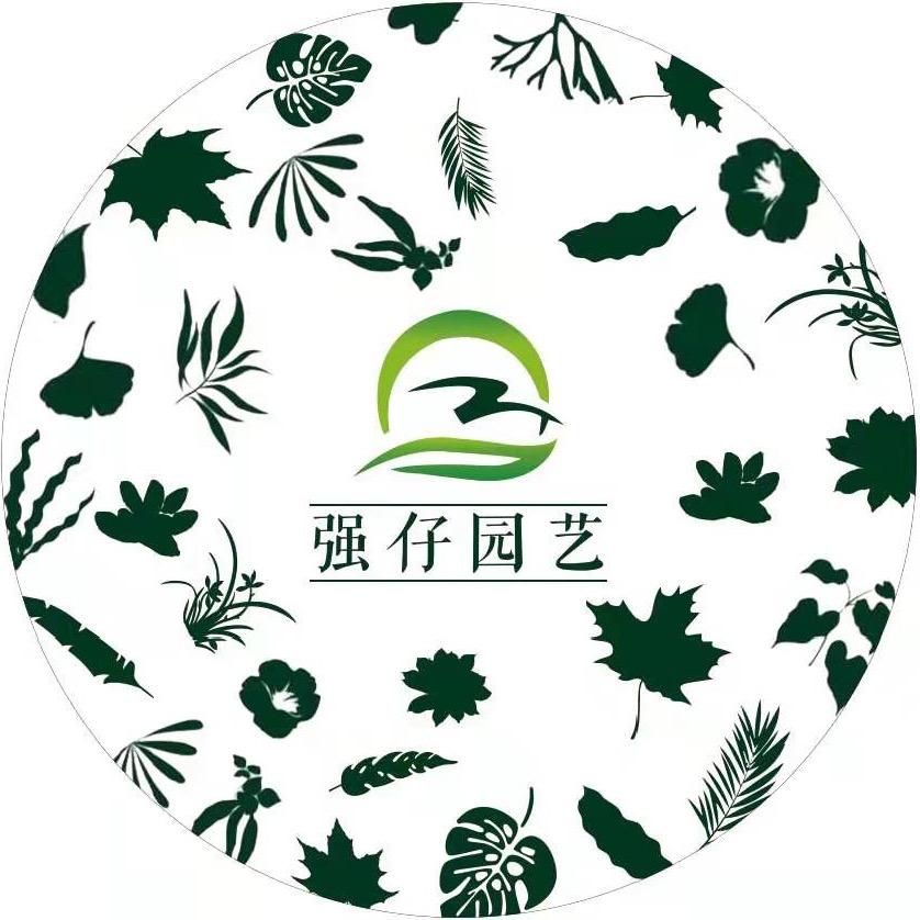 强仔园艺