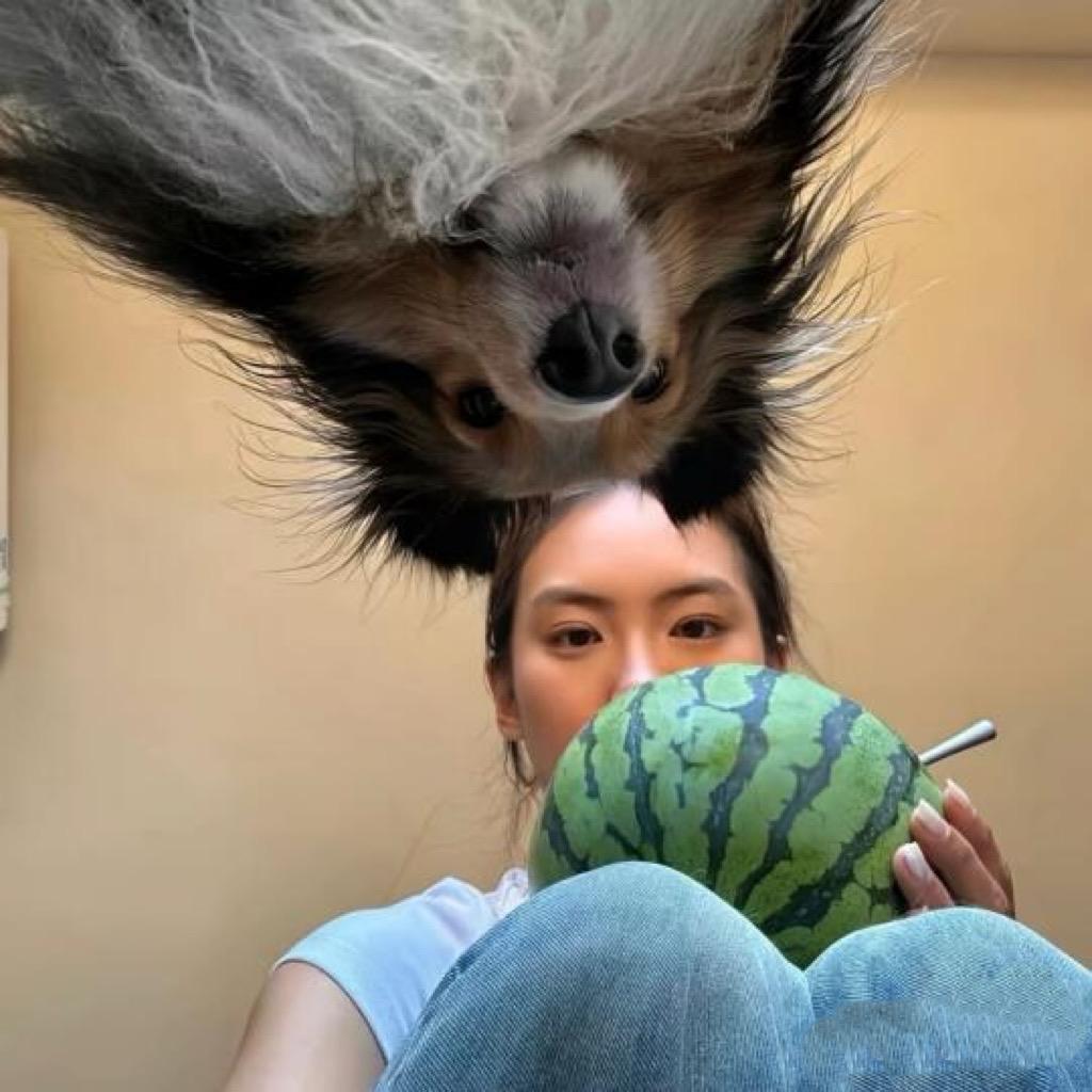 我想出去玩
