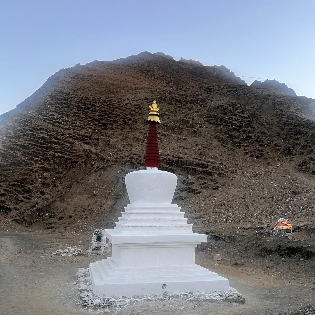 🪴